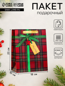 Пакет подарочный новогодний ламинированный «Подарок», 18?23?10 см