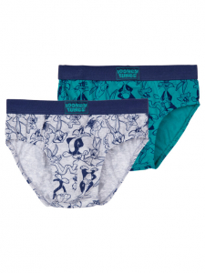 Трусы-брифы для мальчика, 2 шт. в комплекте