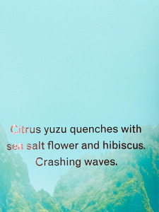 Seaside Surf Chasing Paradise Fragrance Lotion