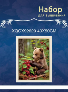 XQCX92620 набор для вышивания 40*50 Под заказ