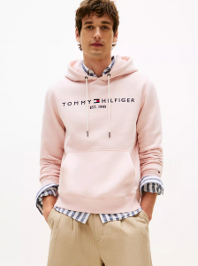 Embroidered Tommy Logo Hoodie
