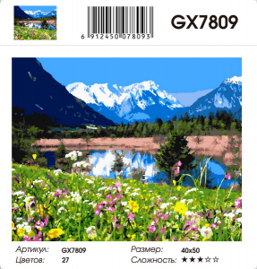 GX 7809