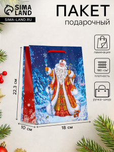 Пакет подарочный новогодний ламинированный, «Новогодний набор », 18?10?22.3 см