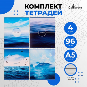 Комплект тетрадей из 4 штук, 96 листов в линию Calligrata 
