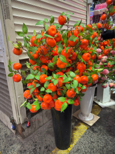 Ветки мандарин 75см