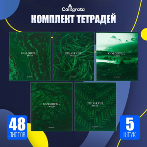 Набор тетрадей, 48 листов в клетку, Calligrata «Изумруд», серые листы, 5 штук