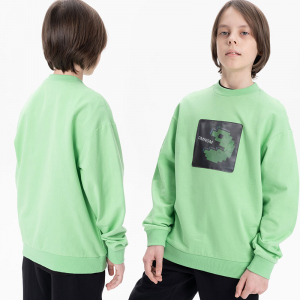 BFN3369 толстовка для мальчиков (1 шт в кор.)