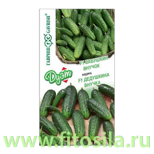 Огурец Бабушкин внучок F1 10 шт.+Дедушкина внучка F1 10 шт. автор. серия Дуэт (семена для проращивания)