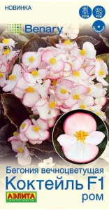 Бегония Коктейль F1 Ром Аэлита