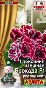 2010A Глоксиния Брокада F1 ред энд вайт 5шт