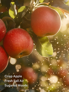 Dreamy Apple Orchard Fragrance Mist