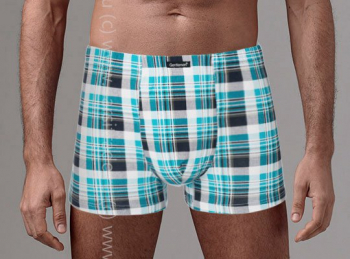 Трусы мужские GS7865 Gentlemen шорты