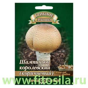 Шампиньон Коричневый на зерновом субстрате, больш. пак. 15 мл