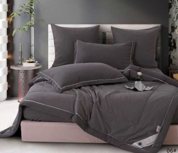 Одеяло Boris E-Shine Бархат Сатин с простыней на резинке по кругу и наволочками ODBORSH06