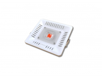 Фитопрожектор Тепличный влагозащищённый 100Вт мультиспектр