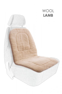 Сиденье-Автокресло 50*100 