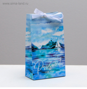 Пакет подарочный с лентой Present for you, 13 ? 23 ? 7 см   4753274