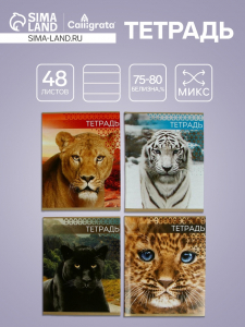 Тетрадь 48 листов в клетку, Calligrata «Дикие кошки», МИКС