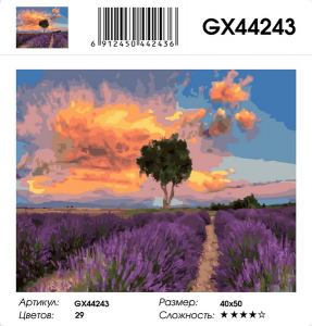 GX 44243