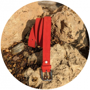 Ab.Z cinturon 160 rojo