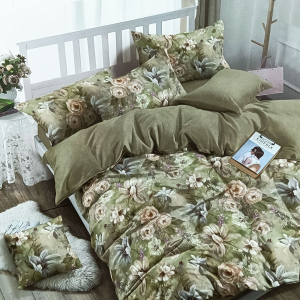 Комплект постельного белья Зима-Лето Акварель поплин