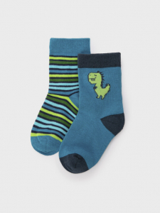 Носки для мальчика, 2 пары в комплекте