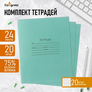 Набор тетрадей 20 штук, 24 листа в клетку КПК «Зелёная обложка», серые листы