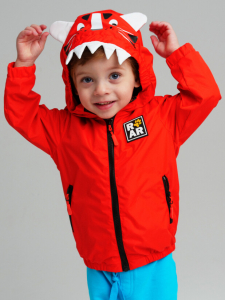 Ветровка для мальчика