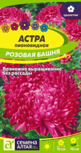 Астра Розовая Башня пионовид.Сем.Ал