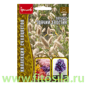 Лагурус Заячий Хвостик (Зайцехвост) 100шт.