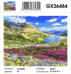 GX 36484