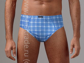 Трусы мужские GP7281 слип (2 шт)