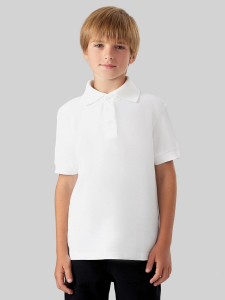 MARK FORMELLE Поло