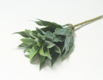 Искусственные цветы, Ветка в букете суккулент 5 голов (1010237)