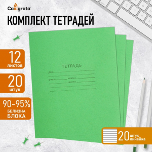Комплект тетрадей из 20 штук, 12 листов в линию КПК 