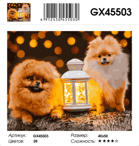 GX 45503