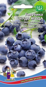 Голубика Чудо Ягода Урал.Дач.