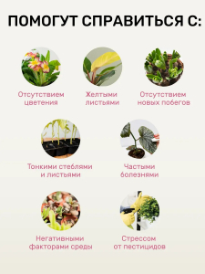 Биомолекулы для комнатных и балконных цветов, 400 мл
