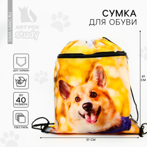 Мешок для обуви «Забавный корги» 2 секции, 41?31 см