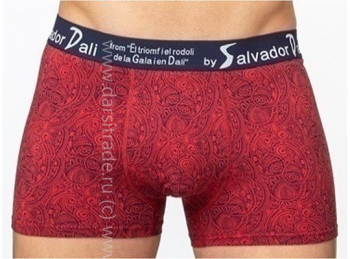 SD2055-3 Трусы мужские Salvador Dali Дроп боксеры