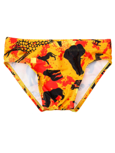 PLAYTODAY Плавки