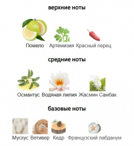 ORMONDE JAYNE OSMANTHUS edp (w) 8ml