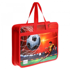 Папка с ручками пластиковая А4, 37 х 22 х 5 см 