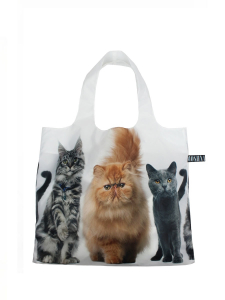 Сумка, Мод.4