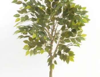 Искусственные цветы, Дерево фикус в горшке 145 см зеленый