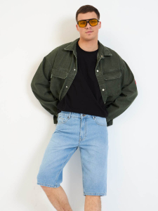 Шорты мужские арт. 08194