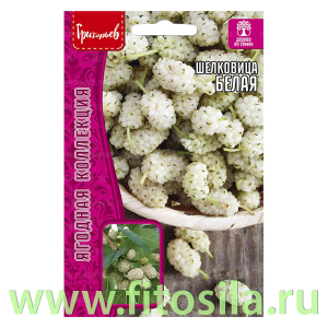 Шелковица Белая 0,1 г (семена для проращивания)
