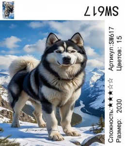 SW617 Под заказ