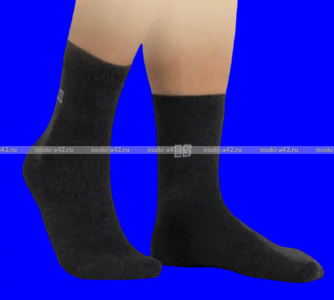 БАЙВЕЙ антибактериальные термоноски мужские внутри махра ВЕРБЛЮЖЬЯ ШЕРСТЬ арт. 3815