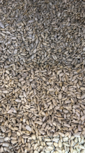 Семечки очищенные сырые 1 кг